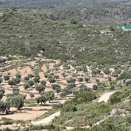 Campo Golden Heritage Off Grid Lodge