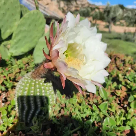 Campo Golden Heritage Off Grid *