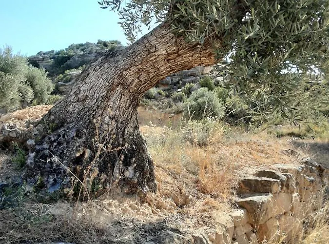 Campo Golden Heritage Off Grid Lodge Maella