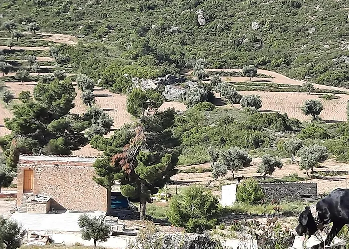 Campo Golden Heritage Off Grid * Maella